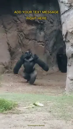 GORILLA RUNNING FAST