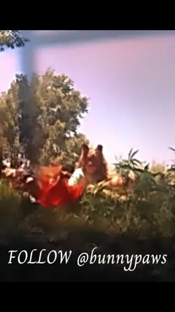 W bunnypaws