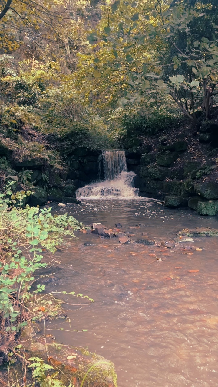 Waterfall 