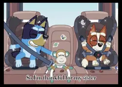 Bluey and bingo