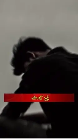 مور سندره🫶❤️