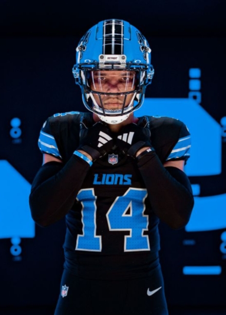 Leones nuevos