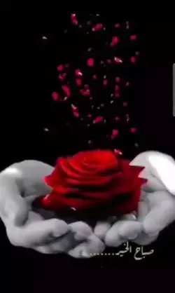 DEPENDO