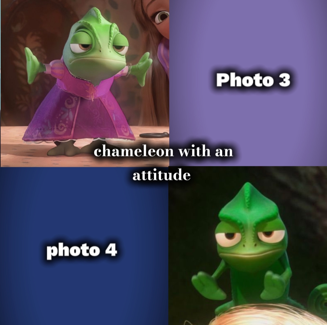 Evry Rapunzel 'in ihtiyacı var