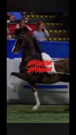 Applause 