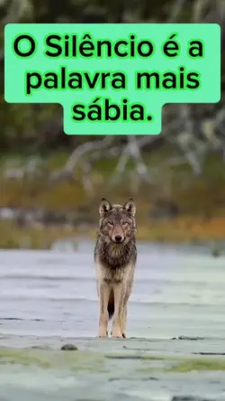 Palavra errada