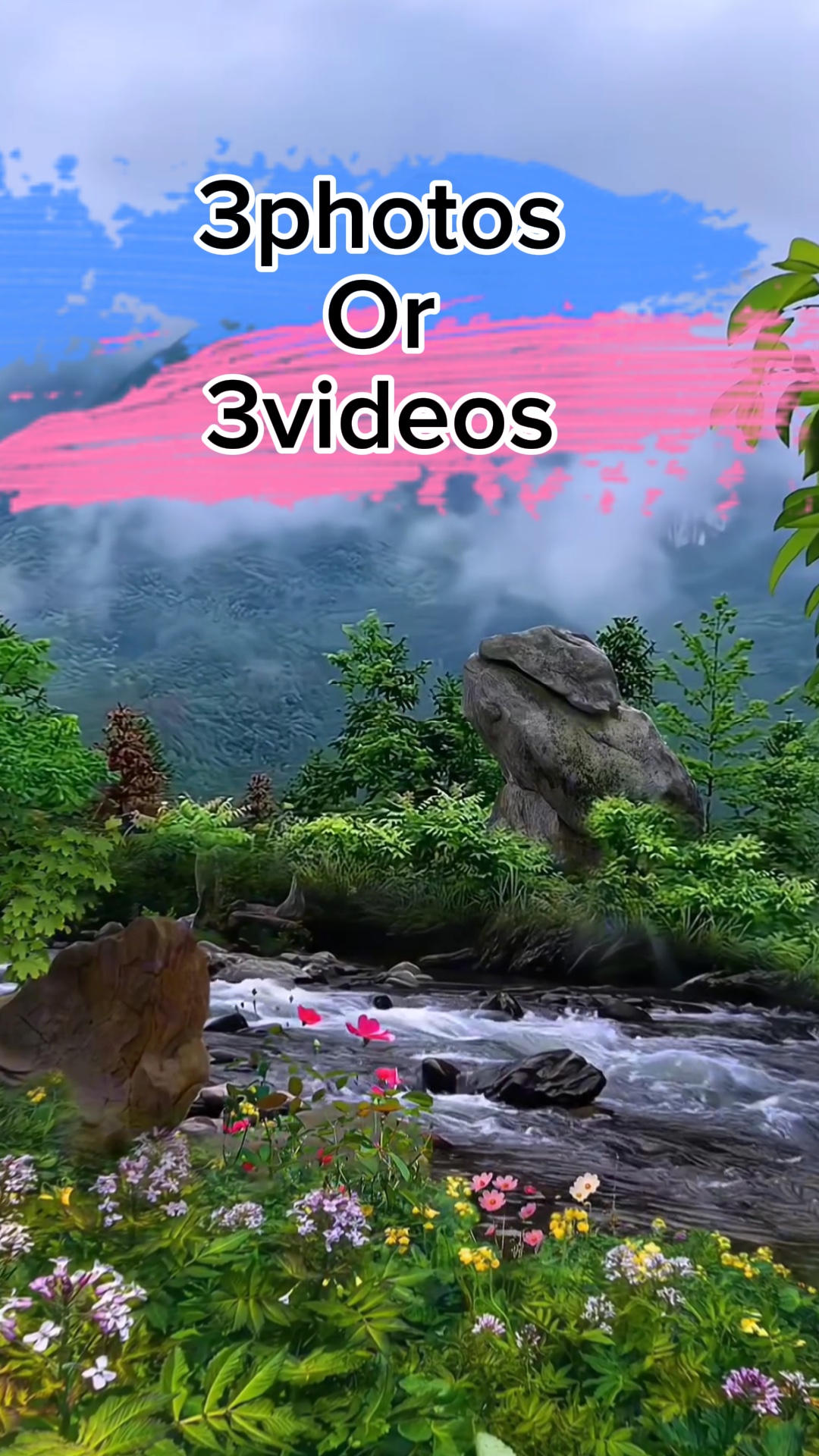 3photos / vidéos