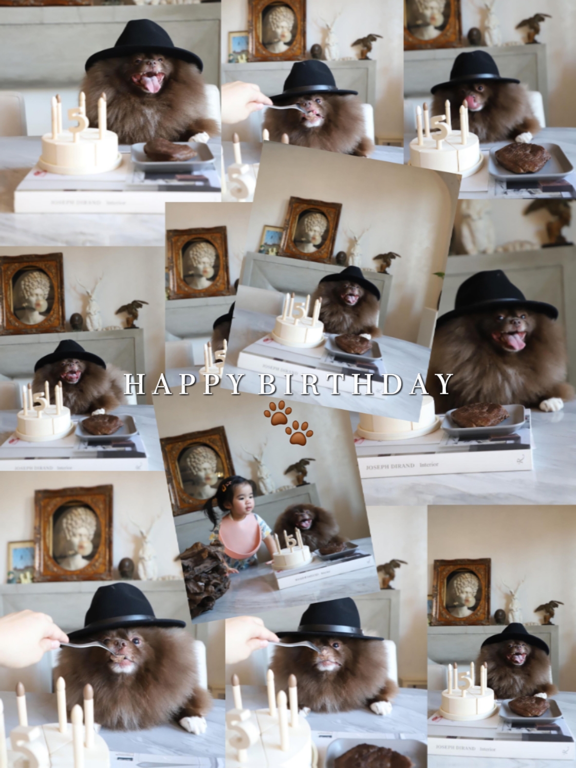 Feliz cumpleaños mi perro