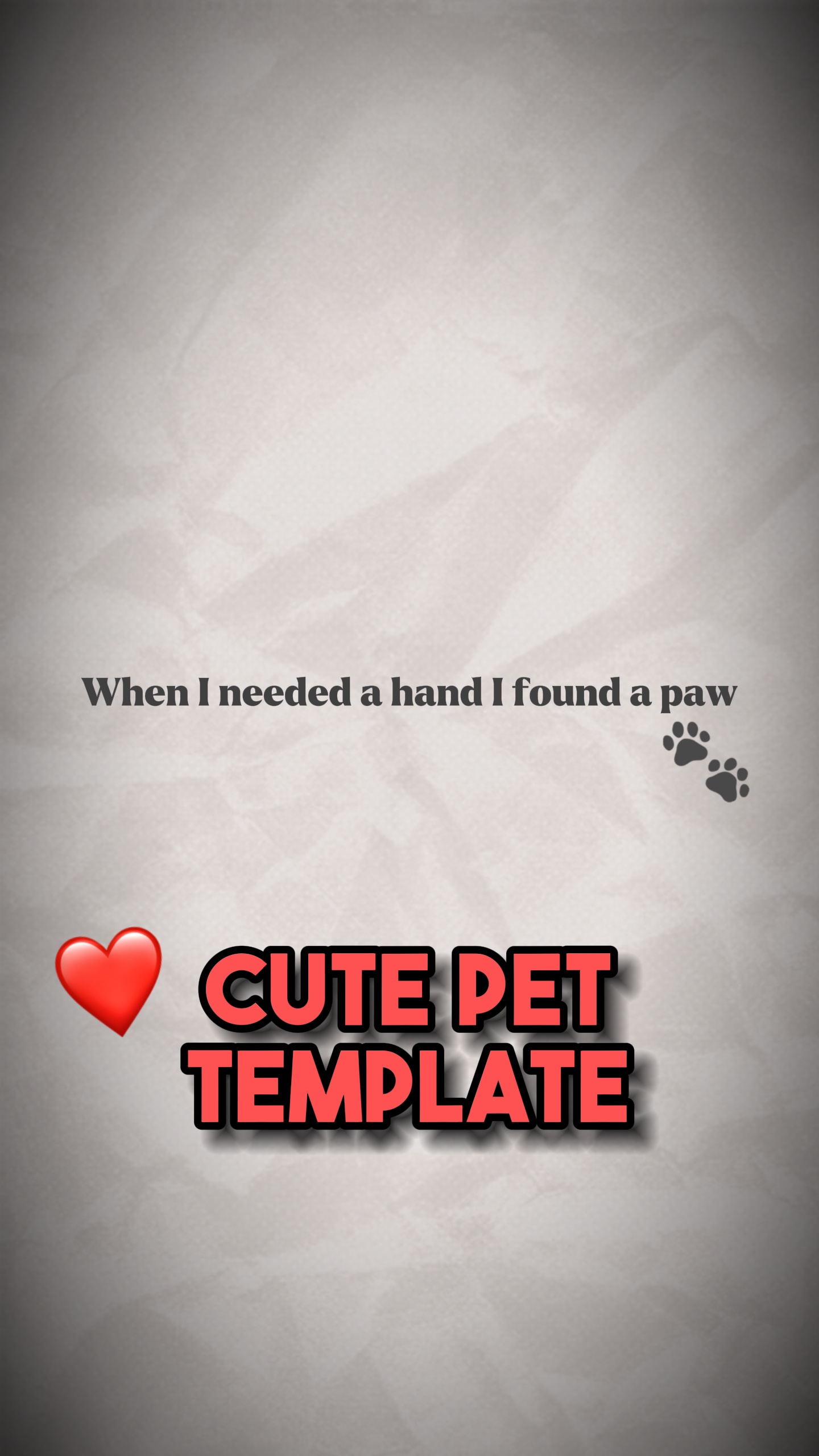 Pet lover❤️