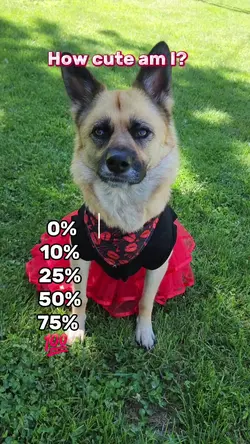 How cute am I?