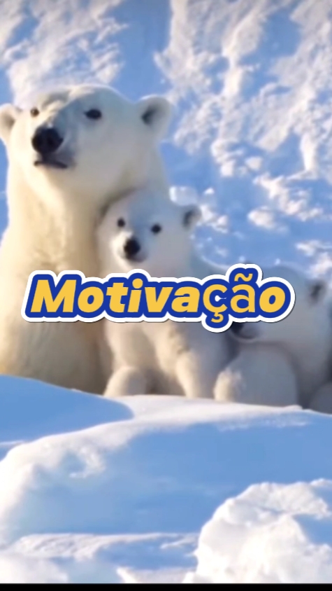 Motivação de vida 