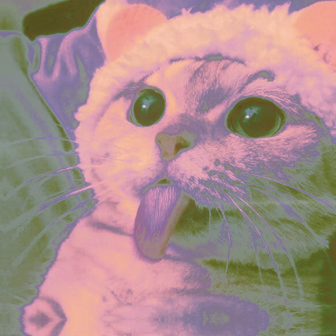 Kucing berwarna-warni edir