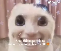 Brain cells gone😱