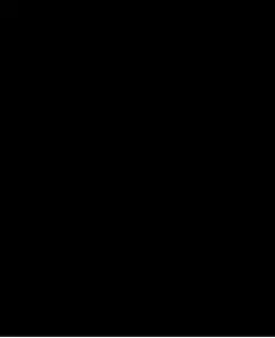Fc 25 Logo 