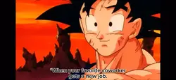 Goku’s goodbye POV