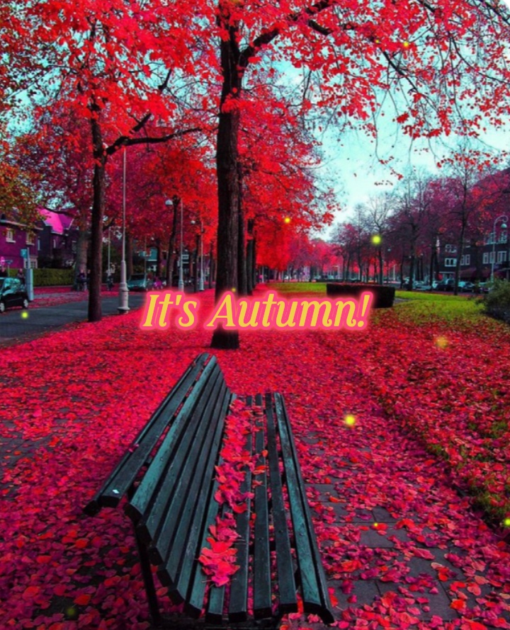 Autumn Is My Color