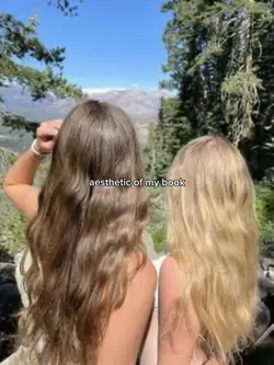 aesthetic of my book