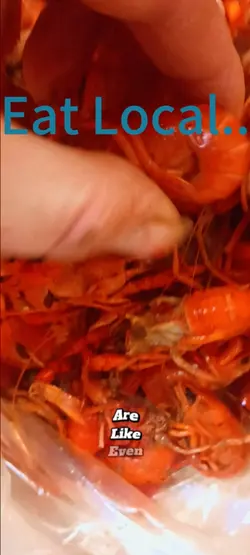 smallest crawfish 