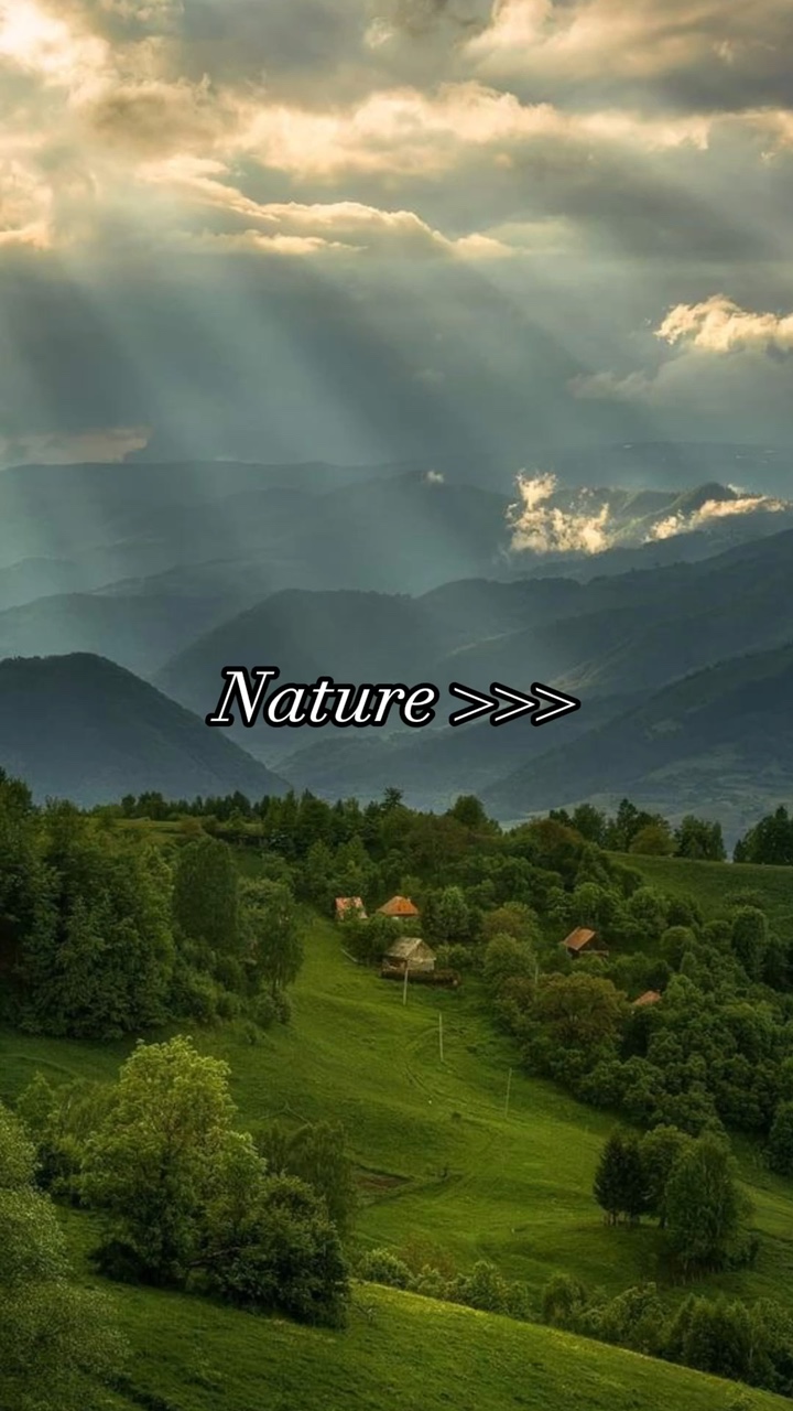 Nature Aesthetic 