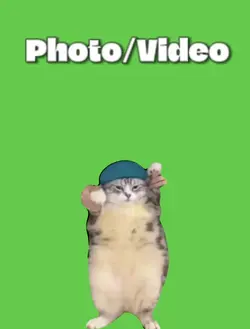Cat Dancing Meme GS