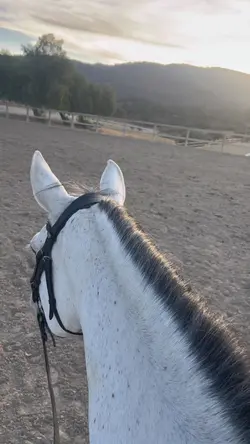 the lighting😍 ⚠️FAKE⚠️