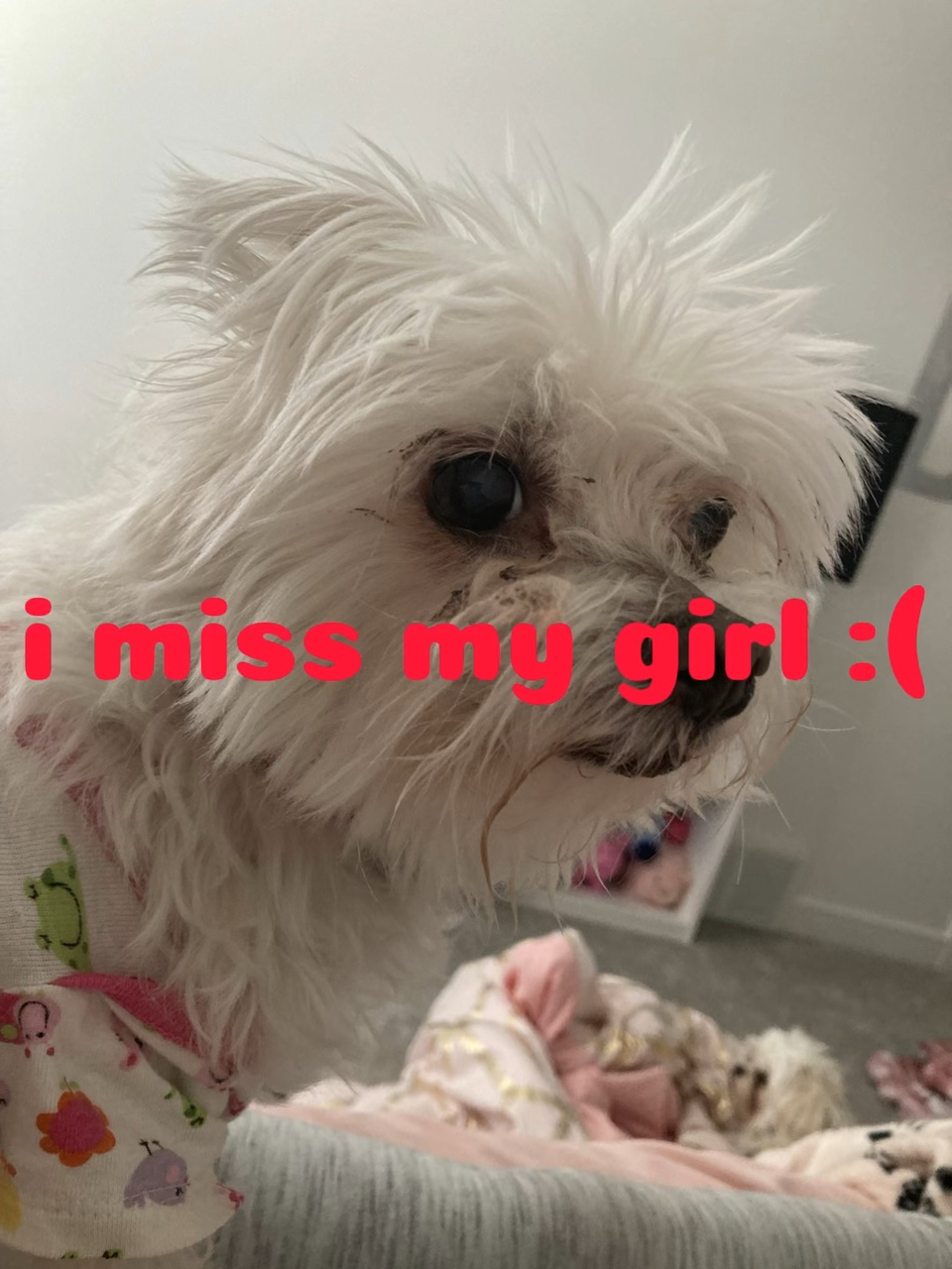 i miss her :(