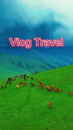 Travel Vlog