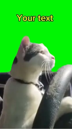 Driving
