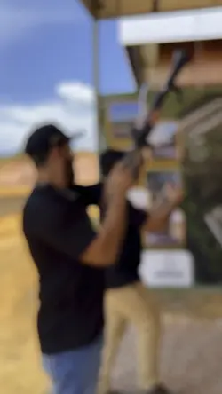 Modelo institucional