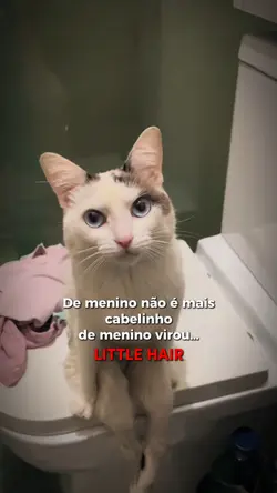 LITTLE HAIR