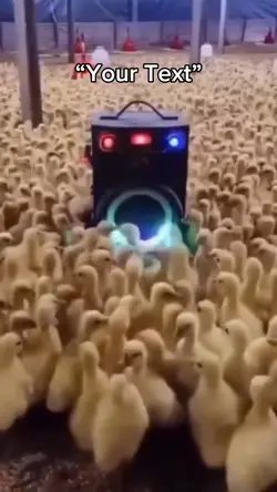Duck Rave π¦