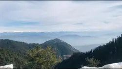 "The earth has music