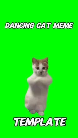 Dancing cat meme 