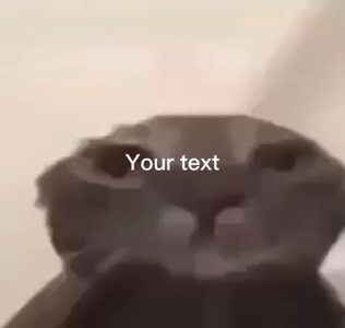 Sad meow