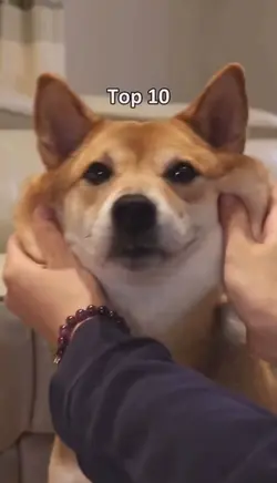 goobie wooboes