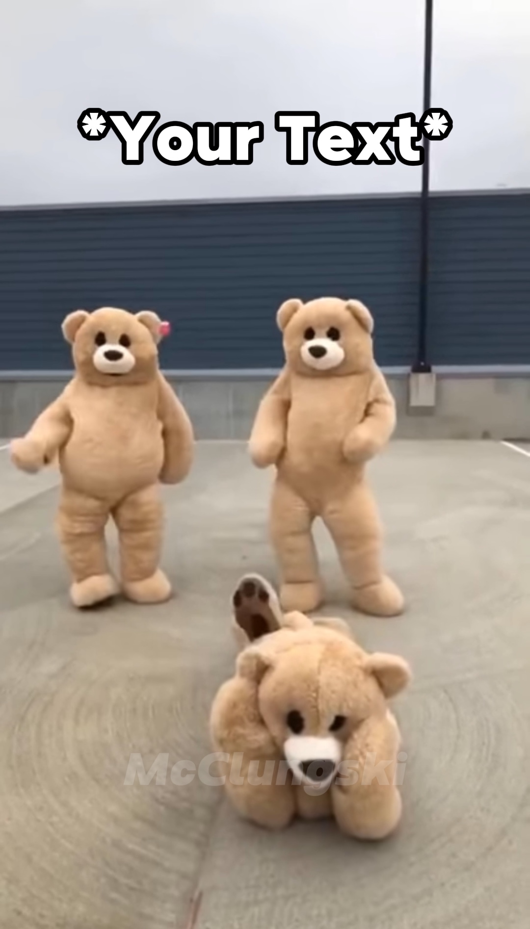 Bears Dancing Meme