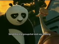 Kung fu panda