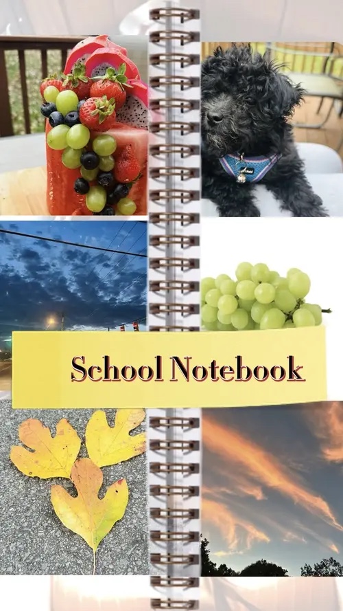 Cuaderno Escolar 