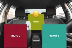 fred the spider meme