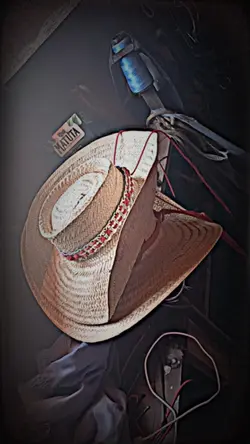 modao 