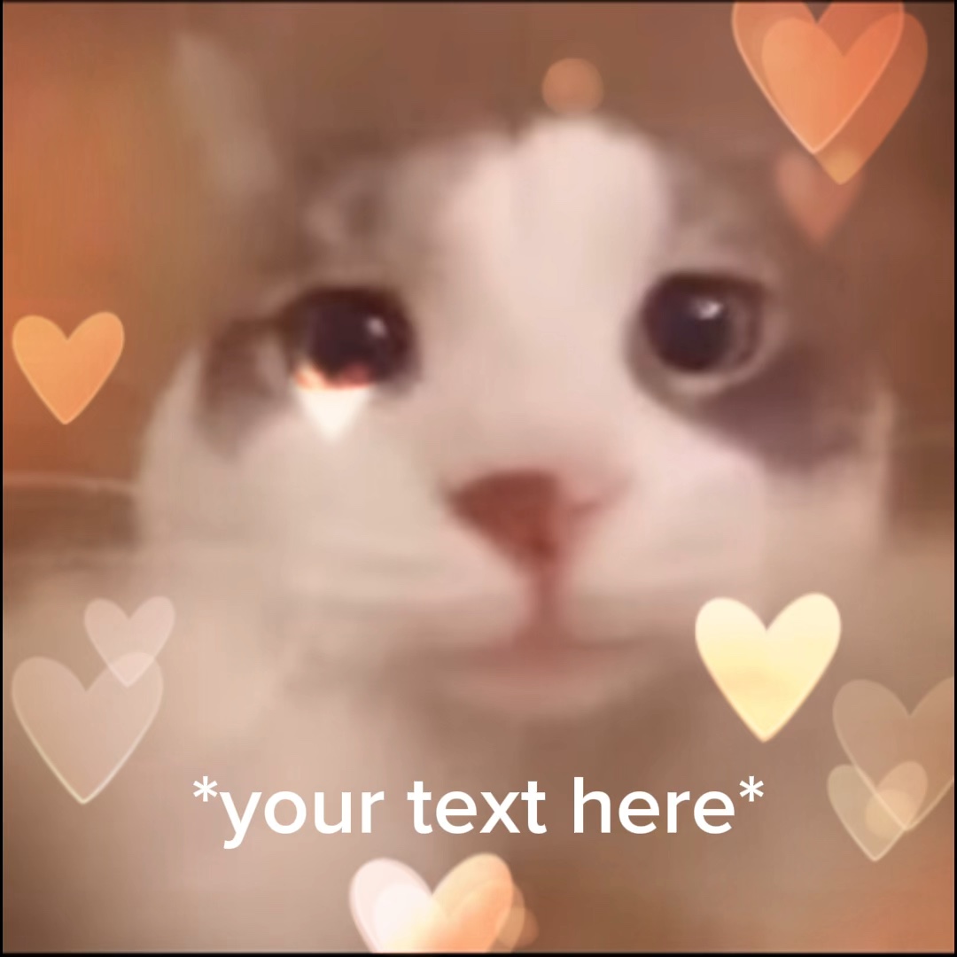Cat kiss 😘