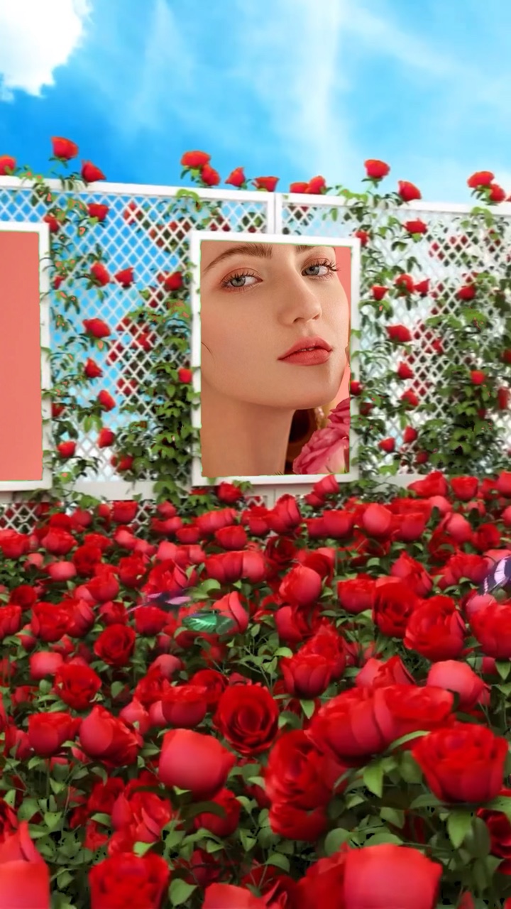 Flores rosas 