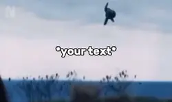 Flying away meme