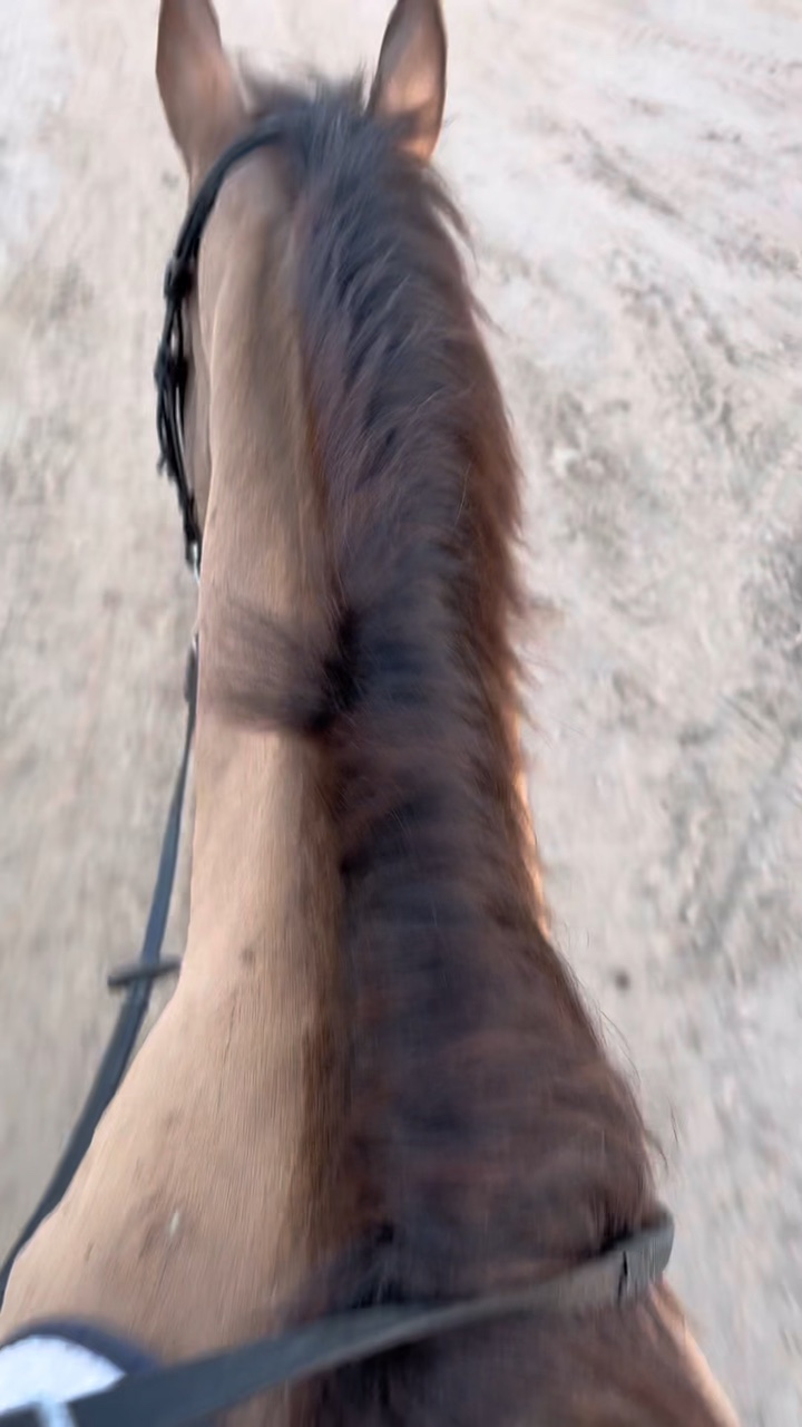 Einen Clip hinzufügen❤️