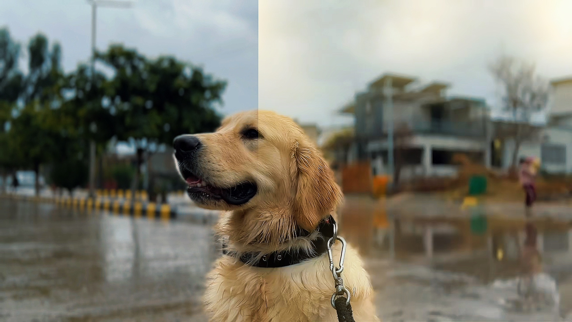 Cinemático 4k