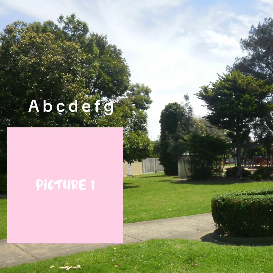 Cover Picture