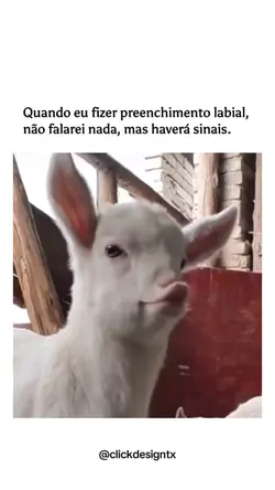 Estética | Humor