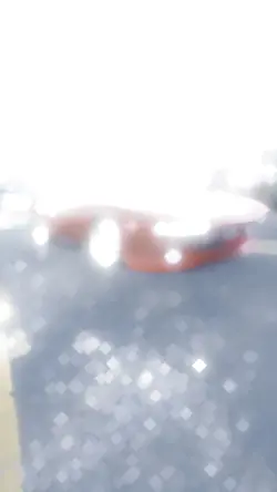 Pantera