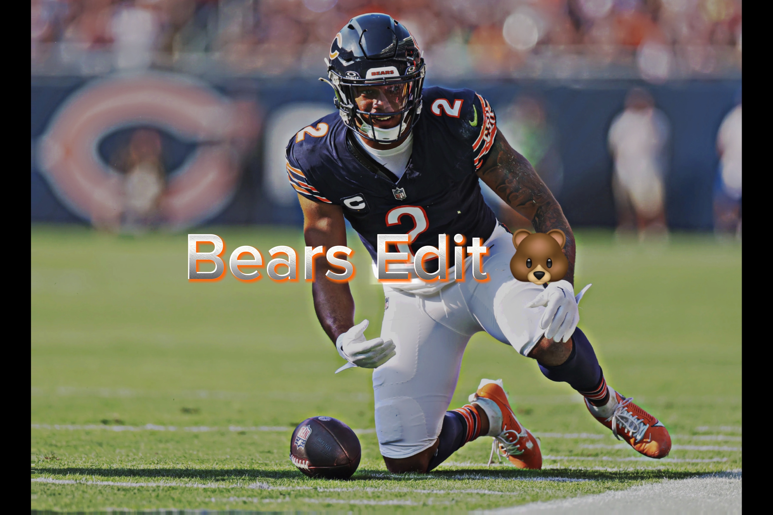 Bears Edit 🐻 