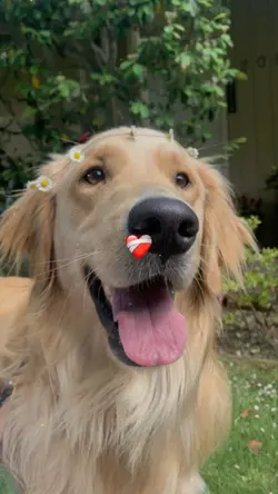 CUTE AND CUTE ❤️‍🩹